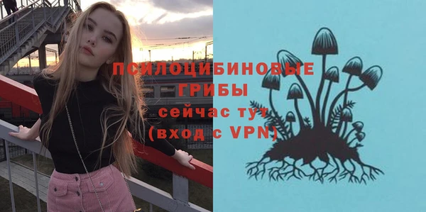 а пвп мука Абдулино