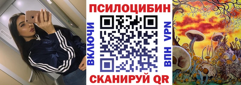 Галлюциногенные грибы MAGIC MUSHROOMS kraken как войти Татарск